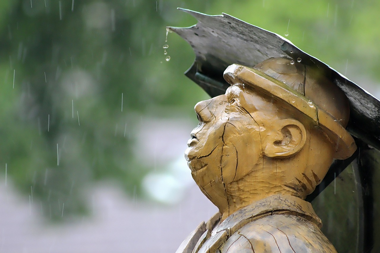 风雨中的挣扎，男子游泳遇大雨，被困树上惊险记