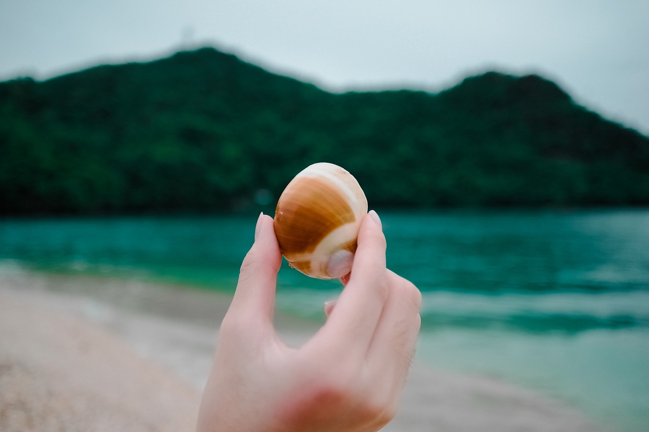 女单铜牌战背后的感人哭戏