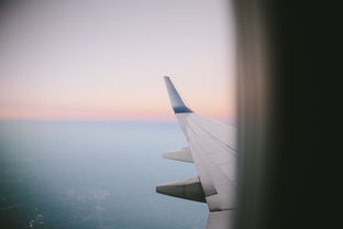 我的名字与微视频的奇妙之旅