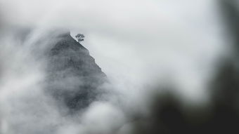 当现实与幻想交织的艺术之旅