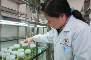 学术研究与人才培养的高地
