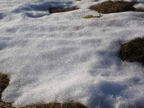 东北局地的雪，一场发紫的冬日盛宴