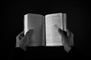 文字的力量，100字摘抄中的深刻感悟