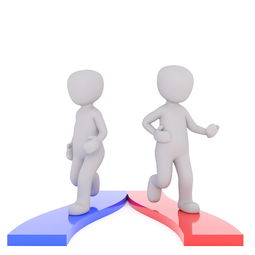 教育质量与综合发展的多元视角
