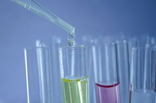 生物医学工程排名，揭秘医疗科技的未来之路