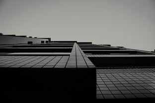 艺术与学术并重的学府