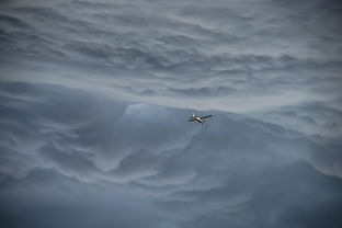 马航MH370搜索重启 家属发声，希望之光再度被点燃