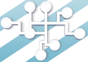 意大利总理，必须避免西方分裂——团结合作，共创未来