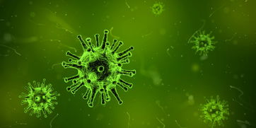 细胞生物学排名解析，揭开生命科学领域的顶尖研究与未来趋势