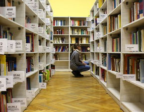 如何选择最适合你的北京留学中介？权威解读与实用指南