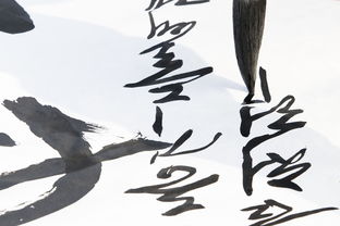 艺术欣赏，100字的诗意与力量
