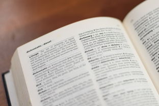 文学常识必背知识点，构建你的文学知识宝库