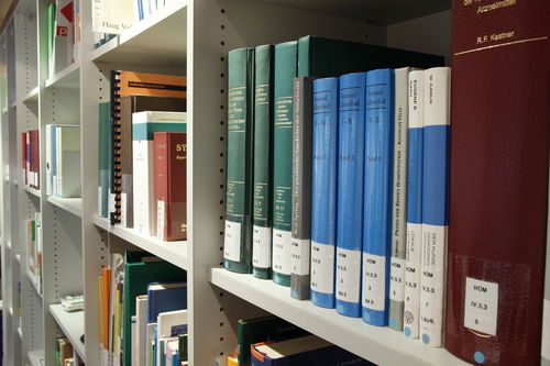 探索东京大学医学部的艺术与科学融合之旅