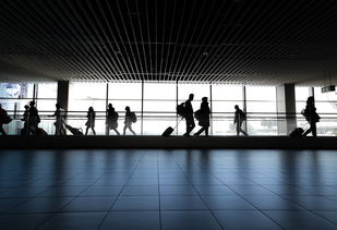 艺术欣赏，开启心灵的视觉之旅