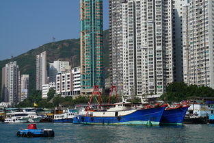 香港国际学校的魅力与选择指南