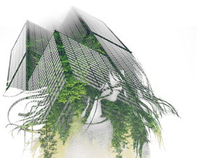 天津艺术文化概览：特色与魅力