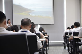 探索高职单招网，开启你的职业梦想之旅