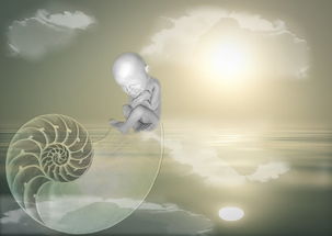母亲节，感恩与庆祝的温馨时刻