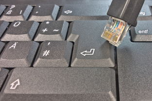 个性化表达，如何免费制作姓氏头像一键生成