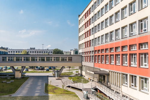 英国创意艺术大学，世界排名与教育质量的融合