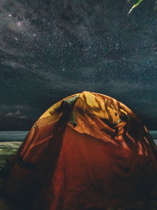 探索中国杂志的璀璨星空，揭秘前十名的风采