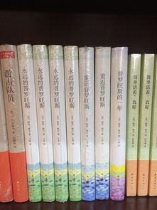 解锁汉语之门，汉语言教师资格证，你的汉语教学通行证