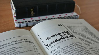 探索中国现当代文学小说的瑰宝