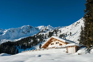梦境中的冬日奇景，解析梦见大雪纷飞的深层含义