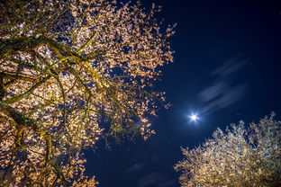 星河璀璨，中国古代诗词中的星辰意象