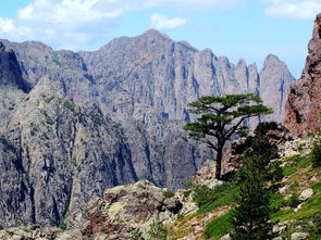 探索超清山水风景，自然之美的高清呈现