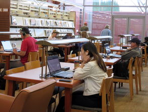 探索全球摄影教育的巅峰，摄影专业大学排名解析