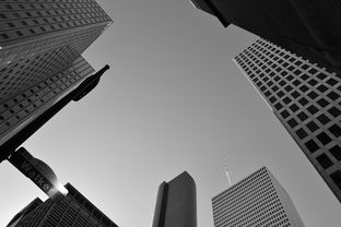 2025高考艺术生政策，机遇、挑战与未来展望